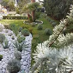 Apartamento Jelena Zadar