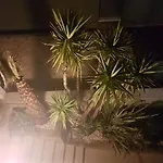 Jelena Apartamento Zadar