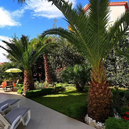 Jelena Appartement