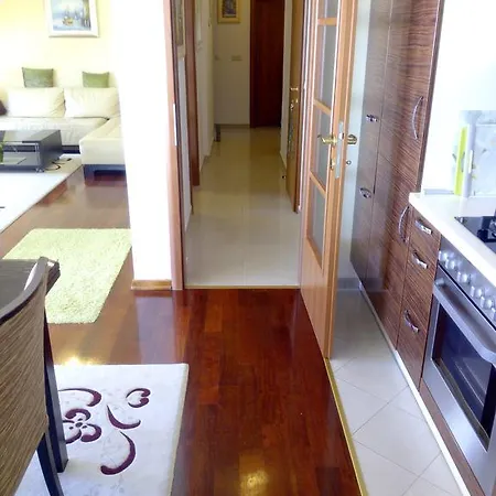 伊莲娜别墅酒店 公寓 扎达尔