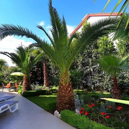 伊莲娜别墅酒店 * 扎达尔