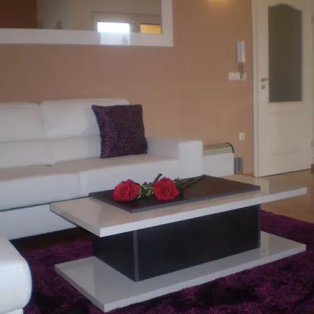 公寓 伊莲娜别墅酒店 扎达尔