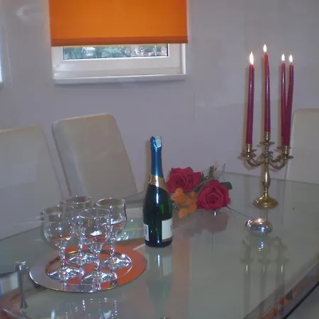 公寓 伊莲娜别墅酒店 扎达尔