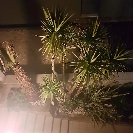 伊莲娜别墅酒店 公寓 扎达尔