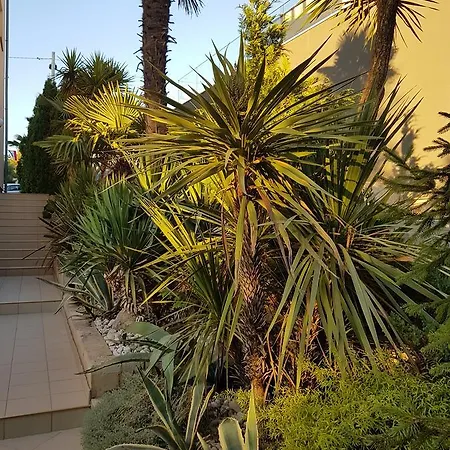 Appartement Jelena Zadar