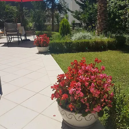 公寓 伊莲娜别墅酒店