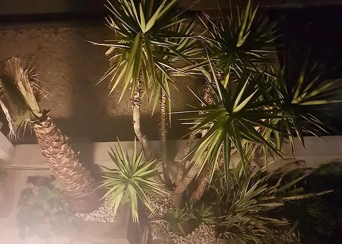 Jelena Διαμέρισμα Ζαντάρ