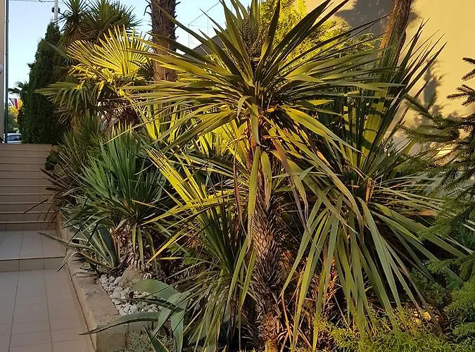 דירה Jelena זאדאר